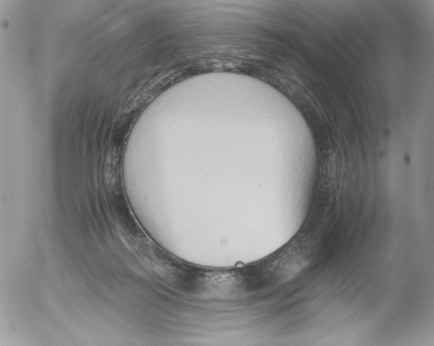 X0000052550218200507291924