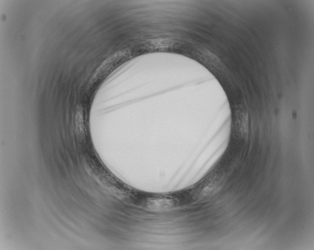 X0000052550220200507291924