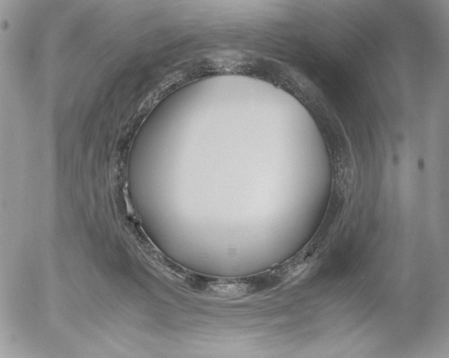 X0000052550221200507291924