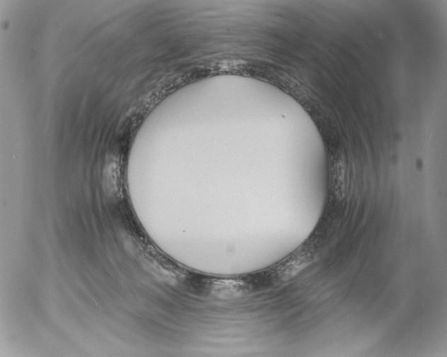 X0000052550222200507291924