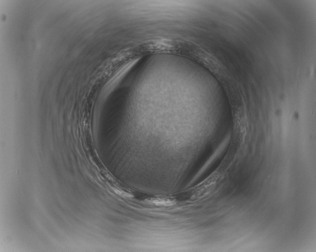 X0000052550223200507291924