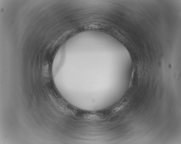 X0000052550224200507291924