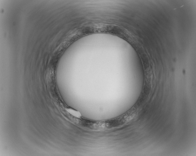 X0000052550225200507291924