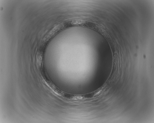 X0000052550227200507291924