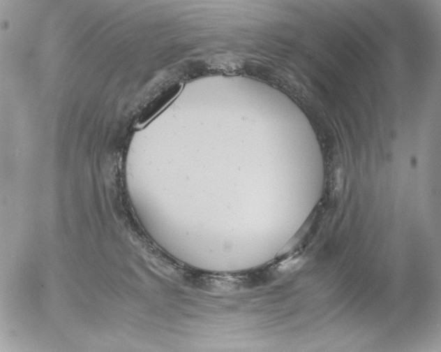 X0000052550229200507291924