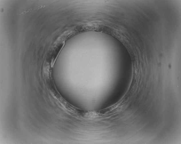 X0000052550231200507291924