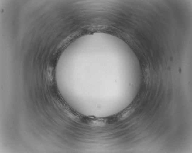 X0000052550232200507291924