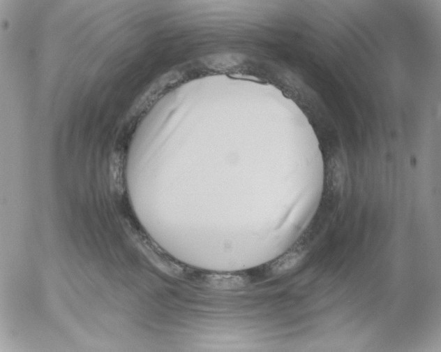 X0000052550234200507291924