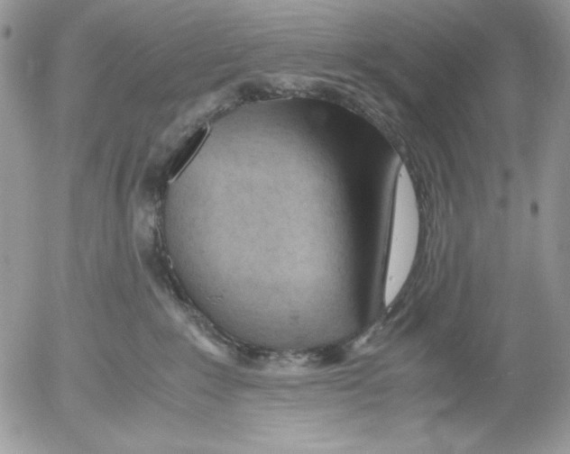 X0000052550235200507291923