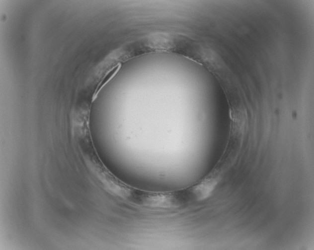 X0000052550237200507291923