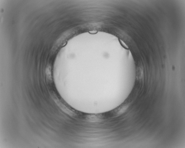 X0000052550238200507291923