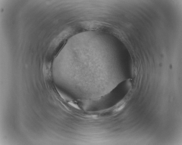 X0000052550239200507291923