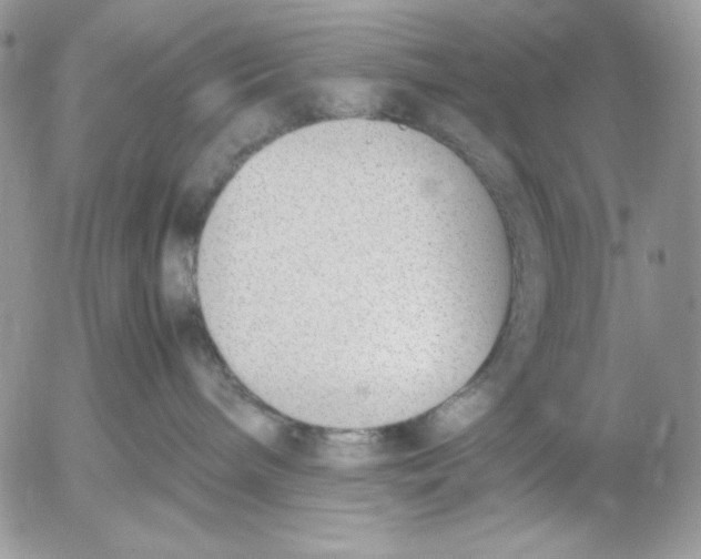 X0000052550240200507291923