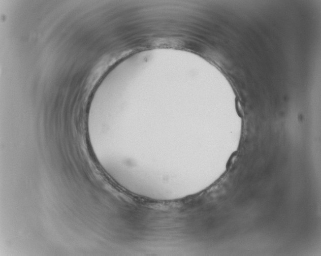 X0000052550241200507291923