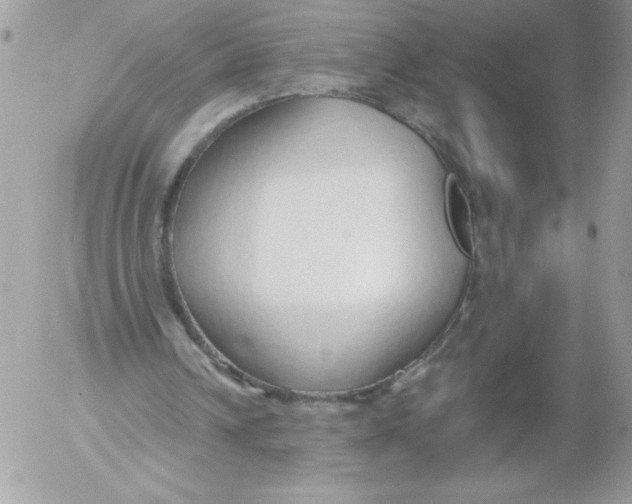 X0000052550242200507291923