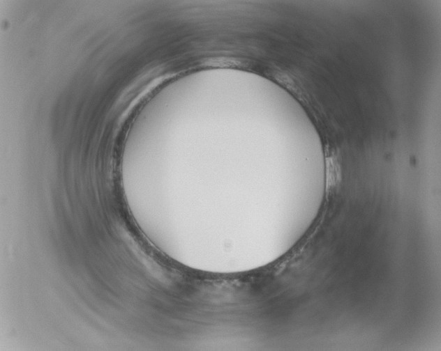 X0000052550243200507291923