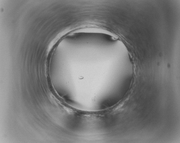 X0000052550244200507291923