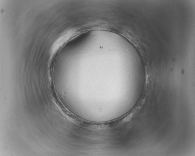 X0000052550245200507291923