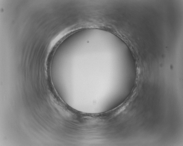 X0000052550246200507291923