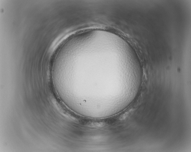 X0000052550247200507291923