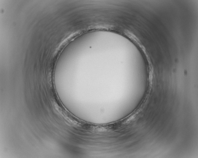 X0000052550249200507291923