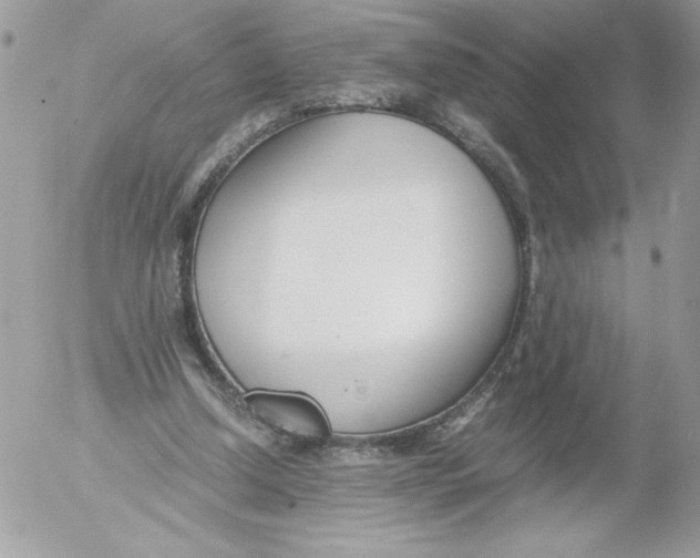 X0000052550250200507291923