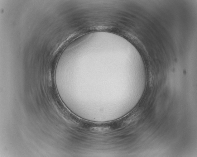 X0000052550251200507291923