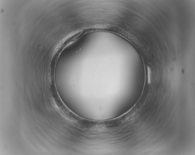 X0000052550252200507291923