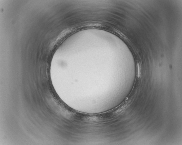 X0000052550253200507291923