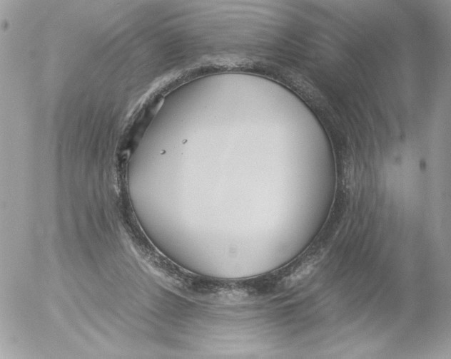 X0000052550256200507291923