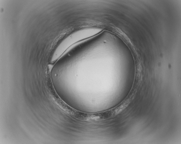 X0000052550257200507291923