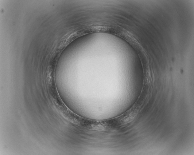 X0000052550259200507291923