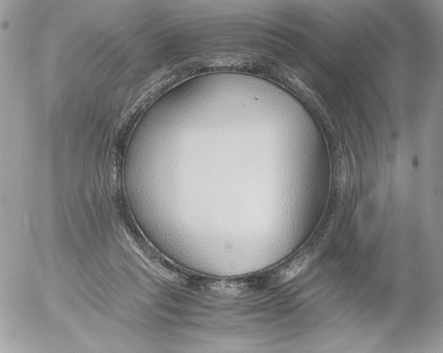 X0000052550261200507291923