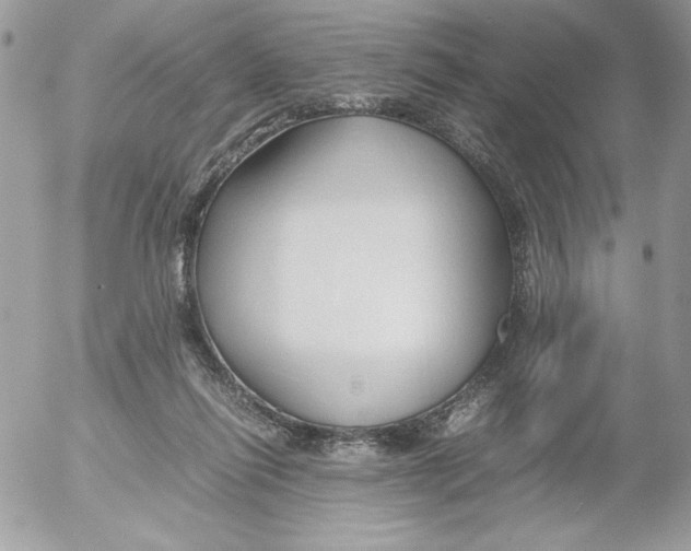 X0000052550262200507291923