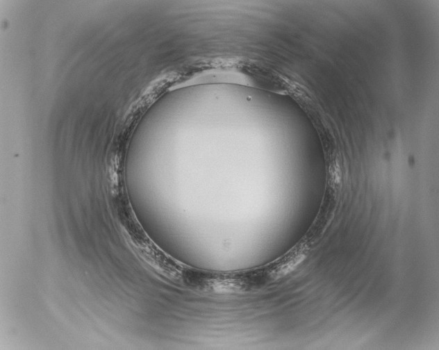 X0000052550264200507291923