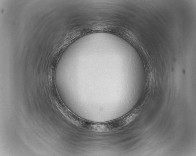 X0000052550265200507291923