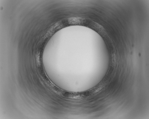 X0000052550267200507291923