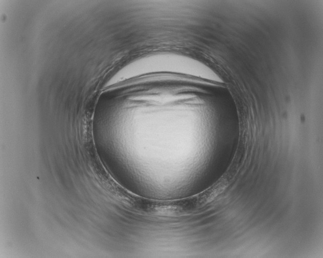 X0000052550268200507291923