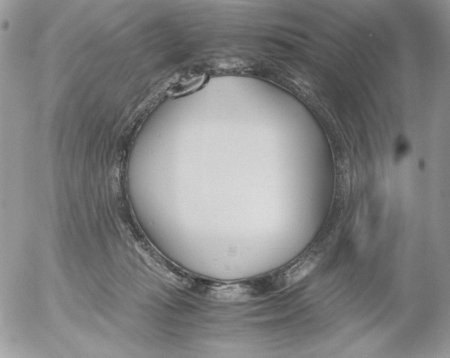 X0000052550269200507291923