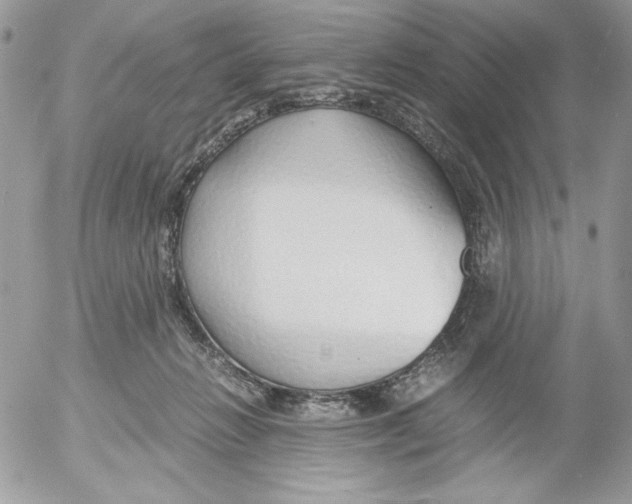 X0000052550270200507291923