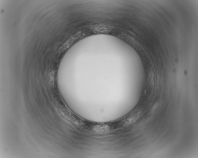 X0000052550271200507291923