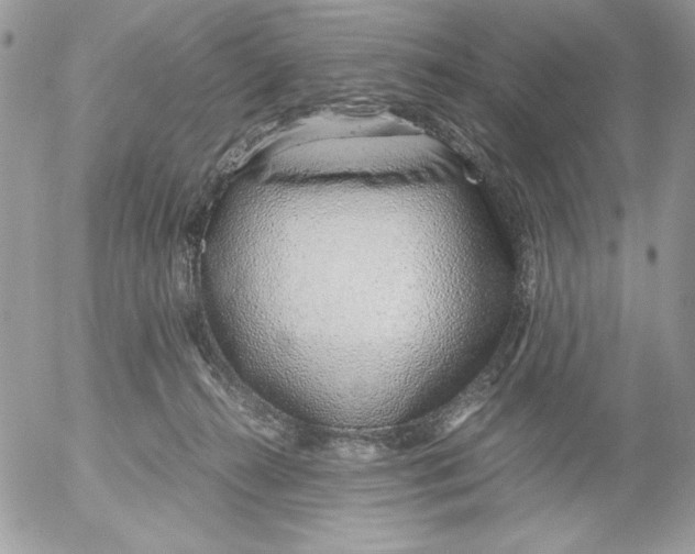 X0000052550272200507291923