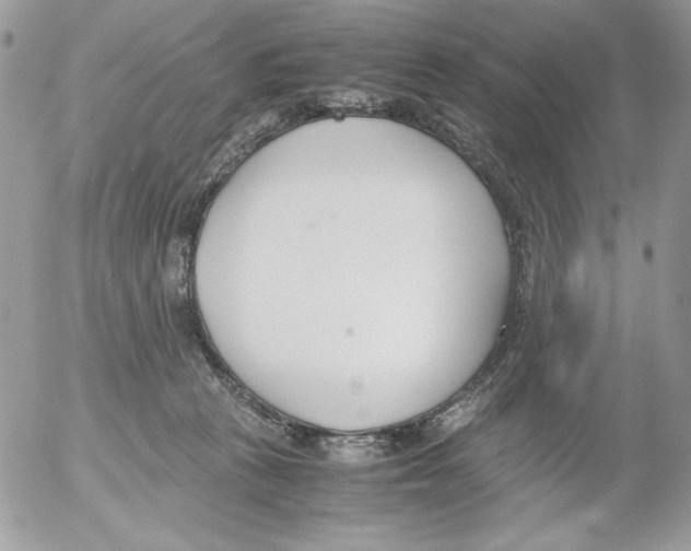 X0000052550273200507291923