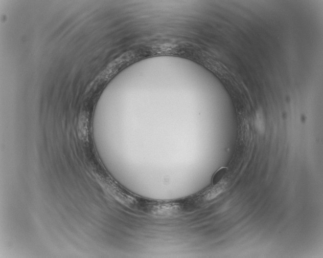 X0000052550274200507291923