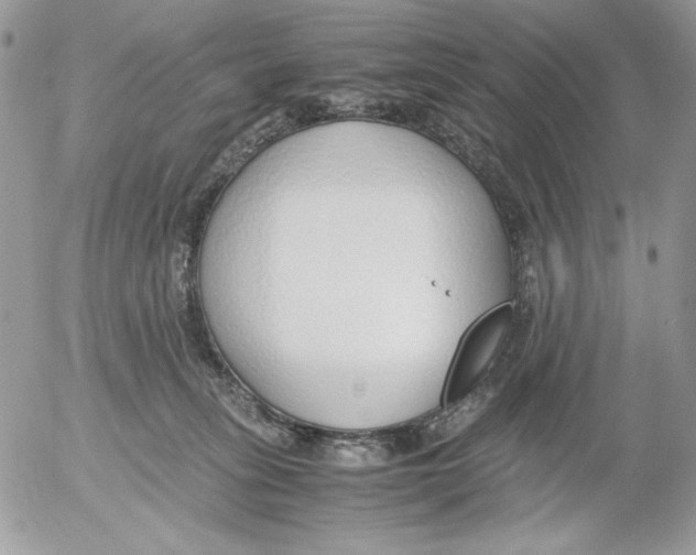 X0000052550275200507291923