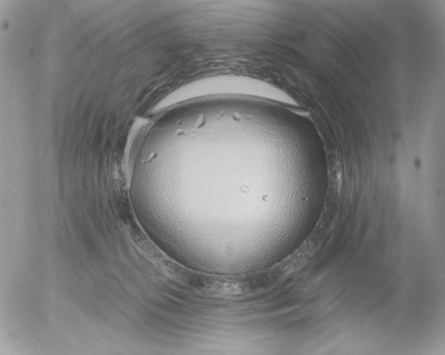 X0000052550276200507291923