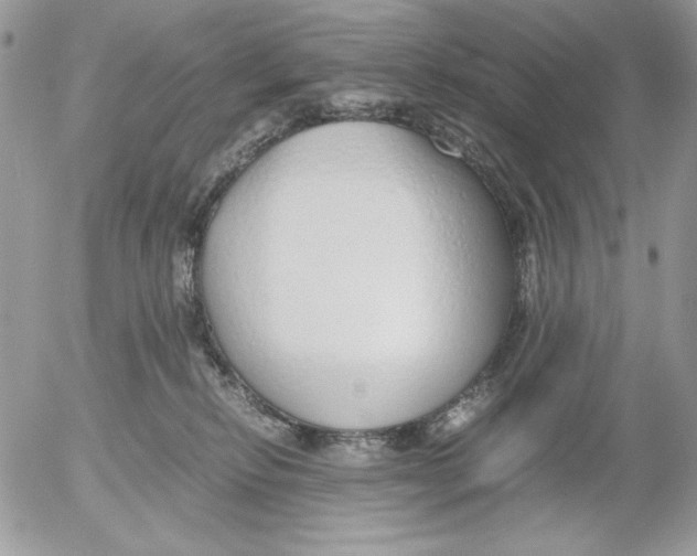 X0000052550278200507291923