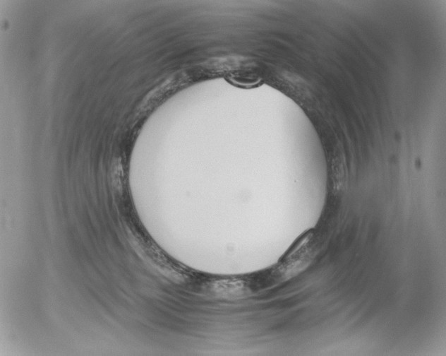 X0000052550279200507291923