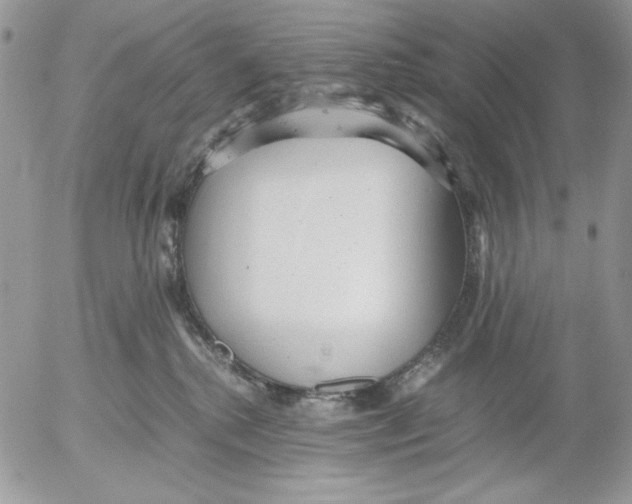 X0000052550280200507291923