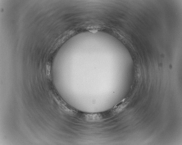 X0000052550281200507291923